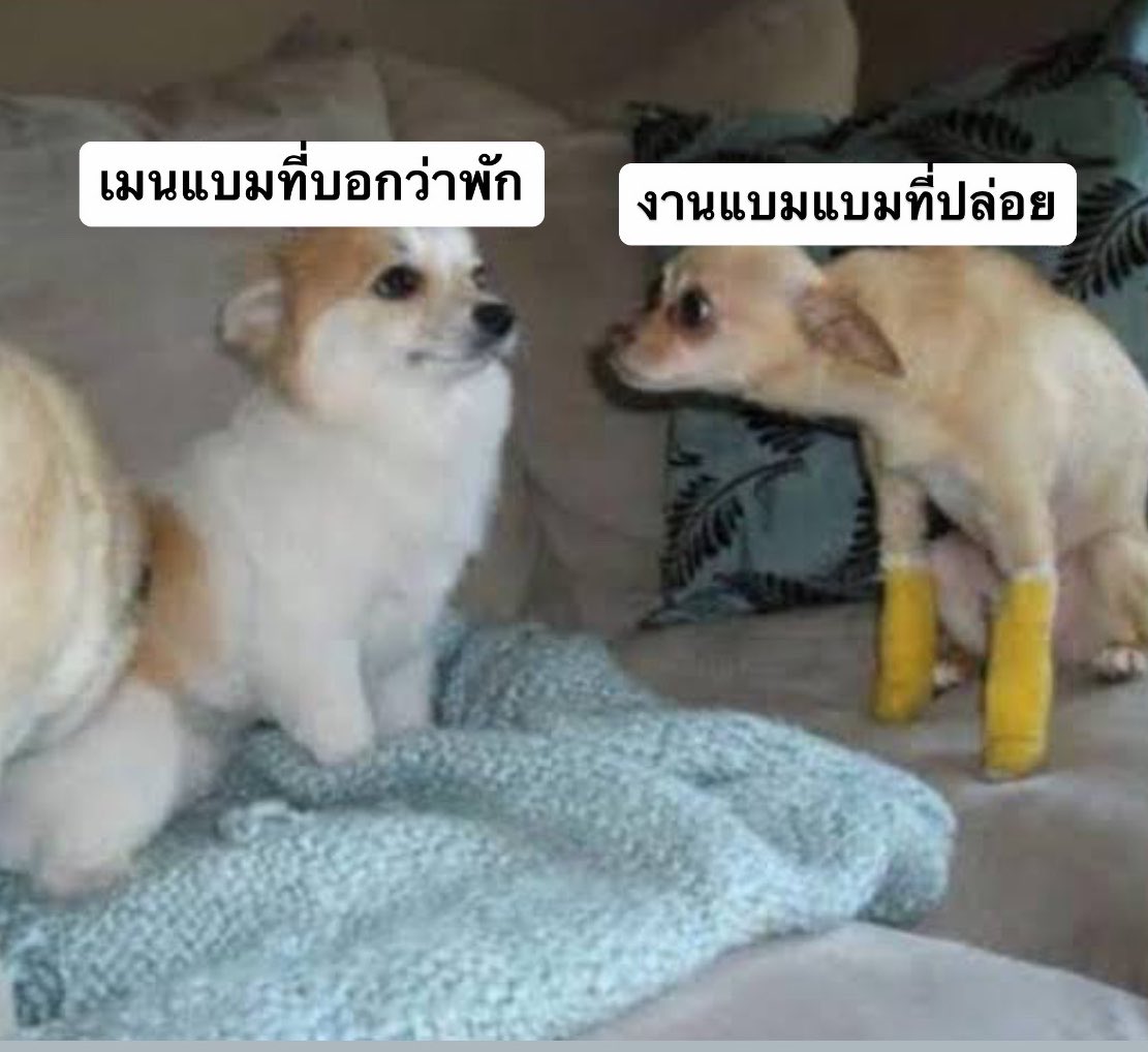 mootyBB's tweet photo. ใครพักคะ https://t.co/9PtkASEB70