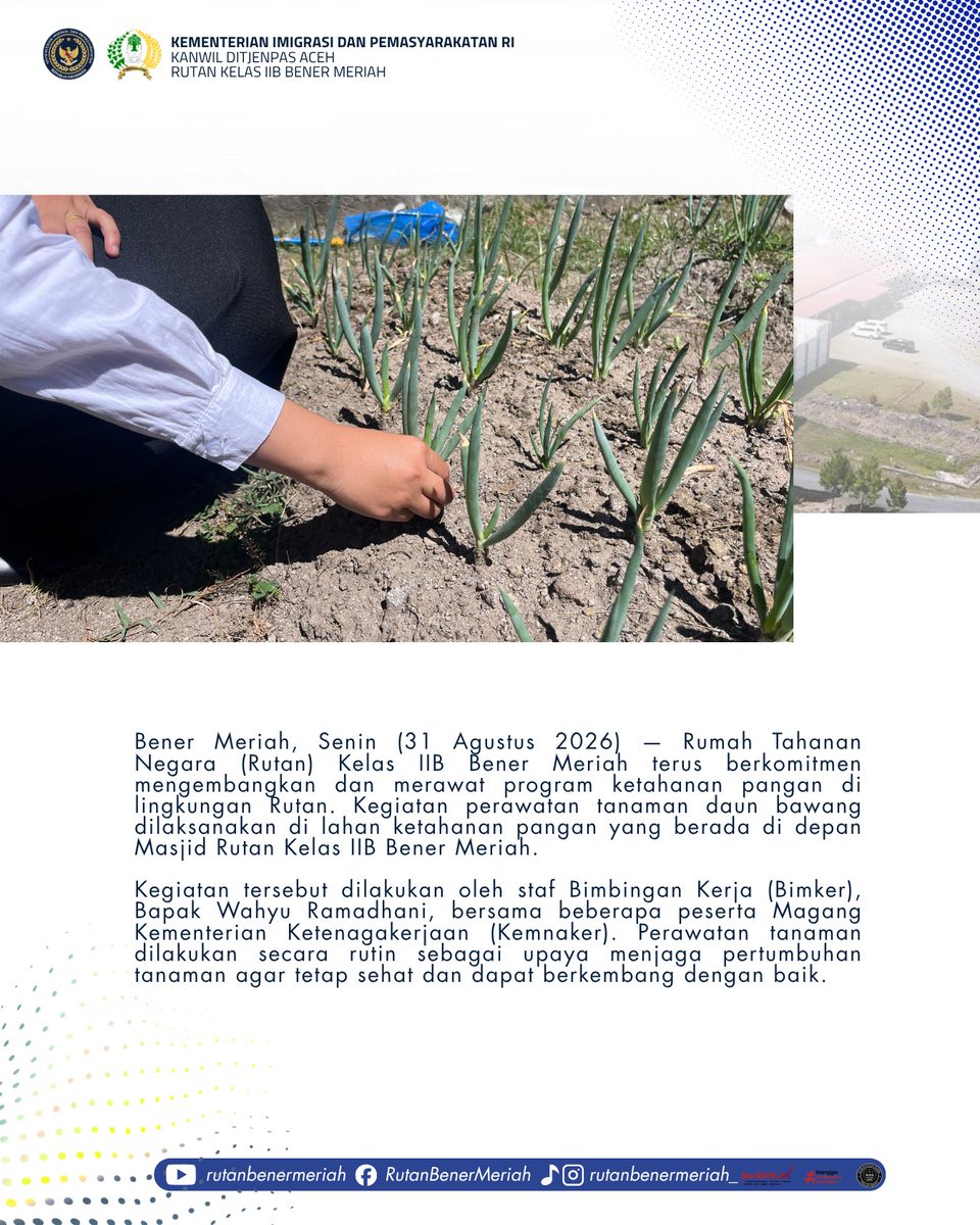 rutanbm's tweet photo. Rutan Bener Meriah Tingkatkan Perawatan Tanaman Daun Bawang di Lahan Ketahanan Pangan

#kemenimipas 
#ditjenpas 
#ditjenpasaceh 
#pemasyarakatan https://t.co/CpKeugyMoR