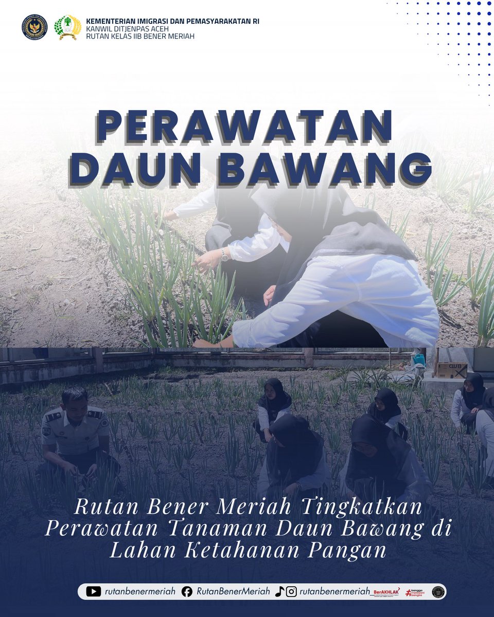 rutanbm's tweet photo. Rutan Bener Meriah Tingkatkan Perawatan Tanaman Daun Bawang di Lahan Ketahanan Pangan

#kemenimipas 
#ditjenpas 
#ditjenpasaceh 
#pemasyarakatan https://t.co/CpKeugyMoR