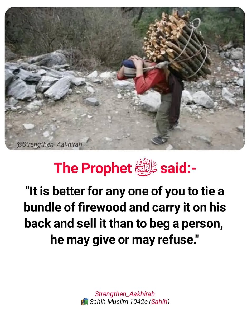 HaleematourS's tweet photo. The Messenger of Allah ﷺ said: https://t.co/a2O9fSuGHc