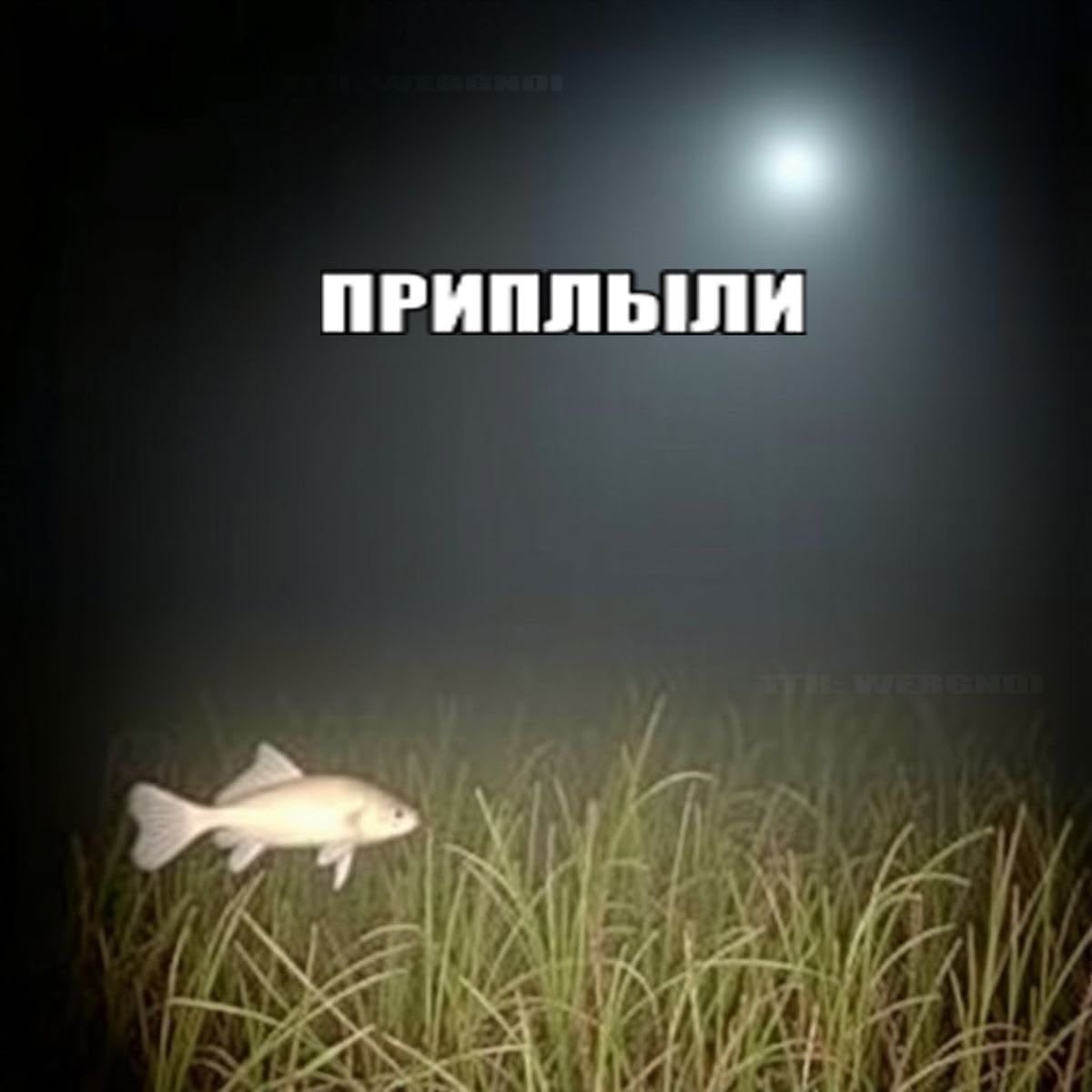 dishhzq's tweet photo. яя ненавижу школьных друзей, а они вероятней меня, но кроме них у меня никого нет, печально да https://t.co/Hw3KVw0dtb