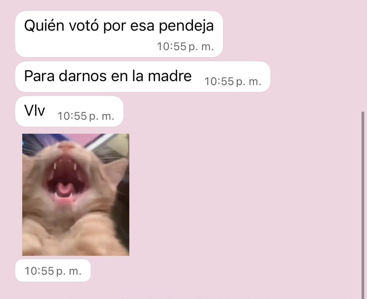 _asherah__'s tweet photo. Déjense venir hijas de su puta madre  #LaCasaDeLosFamososMéxicoMx https://t.co/kx40kq2Wgi