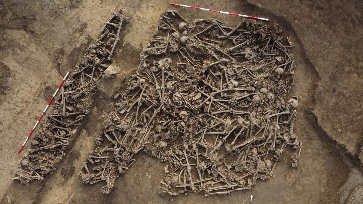 ThePoserSATIRE's tweet photo. @TennilaMatias There's going to be a GENOCIDE of any non-WHITE skin peoples in Europe, 
America, Australia, especially in Ireland, legal or illegal, it's going to be absolutely BRUTAL, leave and go back home to your country of origin, while you can, ALIVE. Read their history of ancestors deeds. https://t.co/IJJe0qOwm1