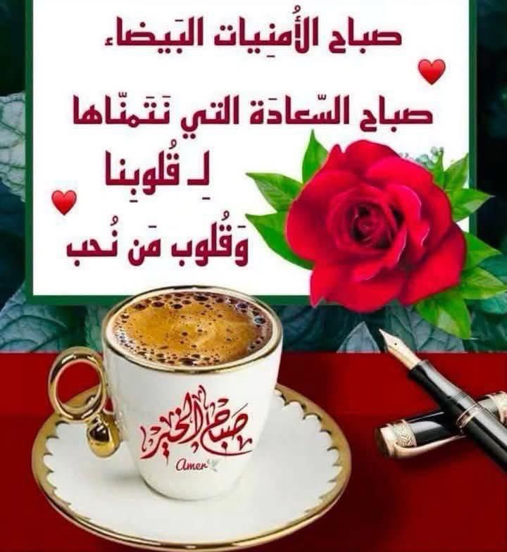 mohadsaad's tweet photo. https://t.co/adqO4DTvxr