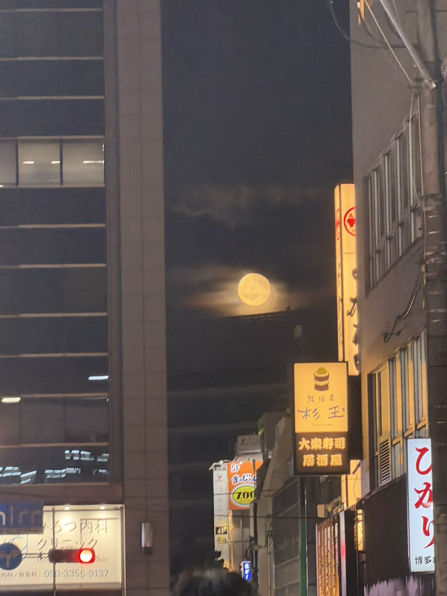 frozenmenma's tweet photo. 月隈突撃の日、
満月で、よからぬ出来事が過ぎり、願った。
「あぁ神様、後ろから襲われません様に」

#突撃 https://t.co/Bz14H7xwU8