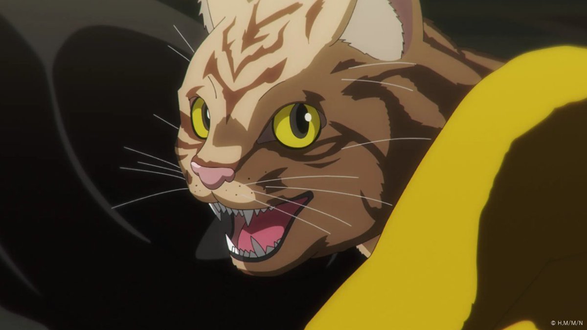 nyailivi's tweet photo. ＼本日 #9月1日 は #茶トラ感謝の日 🐾／
北米発祥で、茶トラを祝うと共に保護猫への理解や関心を深める日だそうです🐱

茶トラも満載のアニメ #ニャイリビ  第1話無料公開中
🔽YouTube  https://t.co/V2fVg1T9EG
🔽TikTok https://t.co/4mkEpJ6onm

各配信サイトはこちら🐈
https://t.co/6dgKf70hdu https://t.co/HVpQZ0KbiX