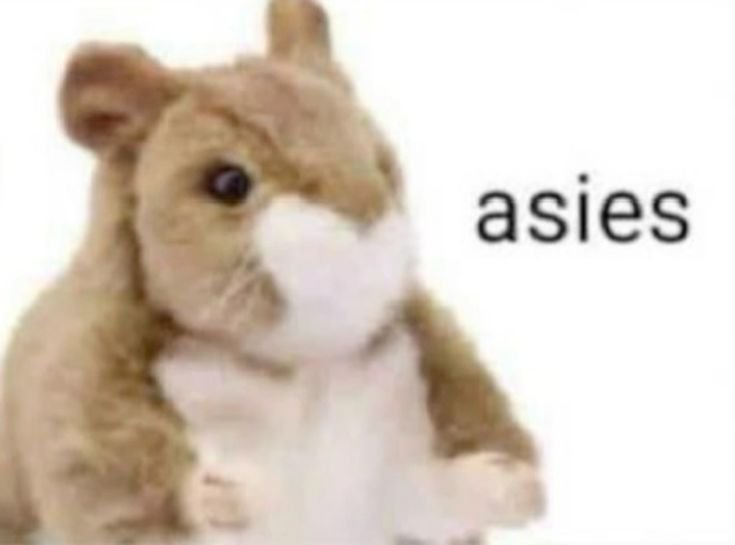 GetzuryG's tweet photo. Les presumo k yo sólo voy a la escuela los sábados https://t.co/RXAMHAfByJ