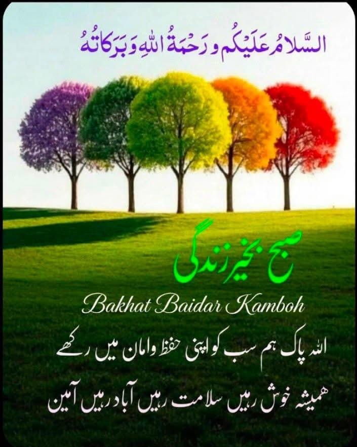 Javed64M's tweet photo. السلام علیکم و رحمت الله وبركاته 
صبح بخير https://t.co/WFqiojqmOX