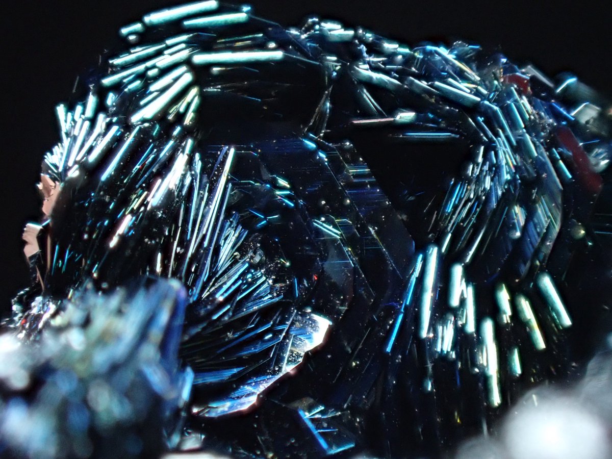 DamasterCarabus's tweet photo. Specularite / 鏡鉄鉱
（Hematite / 赤鉄鉱）

Iwate Prefecture, Japan 🇯🇵

仙台石フリマにて、D・D works
（@DDworksMFJ） さんから購入

極薄い酸化皮膜に光の干渉現象が起きてチタンの焼き色のように青く美しく輝く鏡鉄鉱の構造色

鏡鉄鉱だけで棚一枚並べたくなるほど好みです(笑)

#鉱物 https://t.co/oM6qdQtMBW