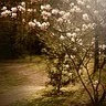 Juliamontserra4's tweet photo. Wait, AI is getting better at handling the boring parts of a normal workday.. 🌸 😉 💫 ⭐ https://t.co/NR4JsKYKZO