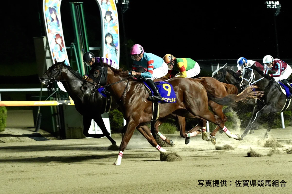 地方競馬ナインSELECT公式アカウント on X: 