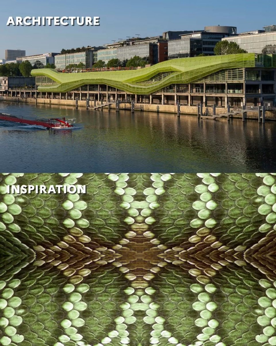 FRauBangladesh's tweet photo. #DidYouKnowThat

Many of 🇫🇷's most striking architectural works draw inspiration from nature, using the forms, curves, movements, &amp; structures of plants, animals, and natural landscapes to create distinctive &amp; innovative designs. 

👉 
https://t.co/OHaHqShF9k

@francediplo_EN https://t.co/uctWRJsII6
