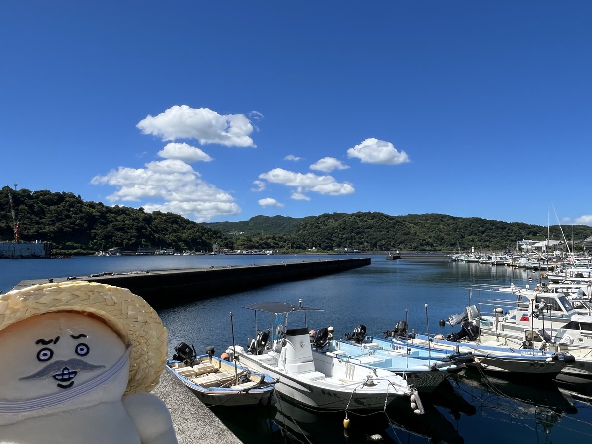 puruyasama's tweet photo. 島二郎の夏🌻🐟 https://t.co/jGPWlyjGRl