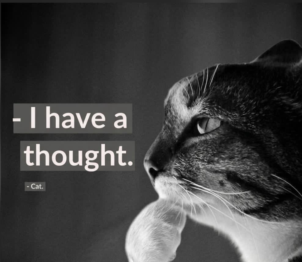 thinkingcatRH's tweet photo. he's not going to share it. https://t.co/V6r7XMrlZk
