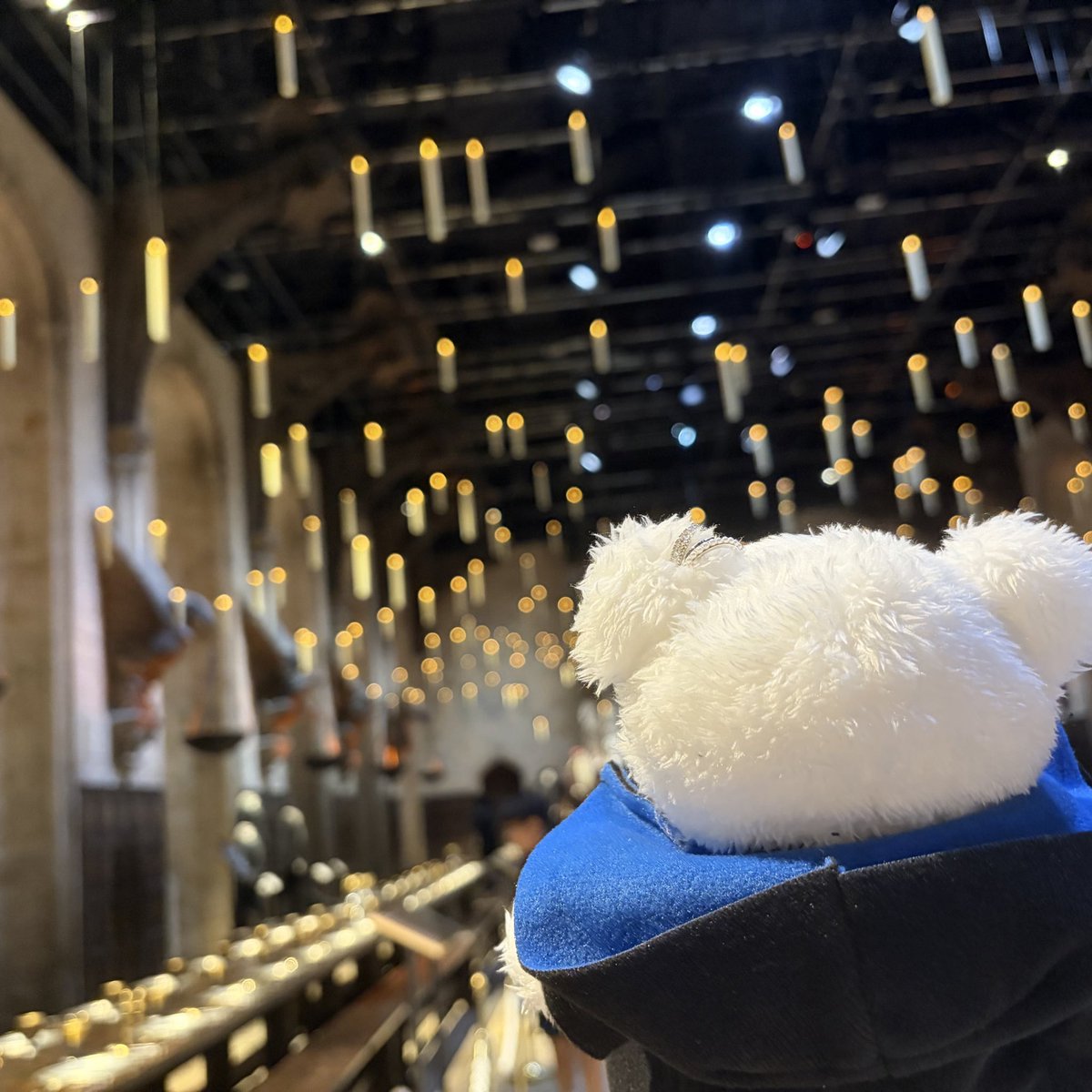 koukiplus's tweet photo. 呪いの子を見た勢いで練馬のスタジオツアーに行ってきたよ🥺 https://t.co/VOlwptelcM