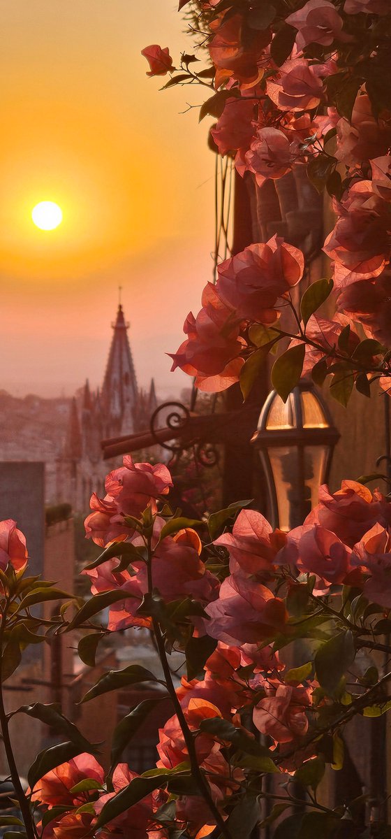 guanajuato's tweet photo. 🇲🇽Nestled in the heart of Mexico, #SanMigueldeAllende is a world-renowned destination. Between the stunning colonial architecture and the welcoming locals, this town will steal your heart and leave you wanting to stay forever. ❤️🪽

📸Travel.Mike https://t.co/e5KEcKAI35