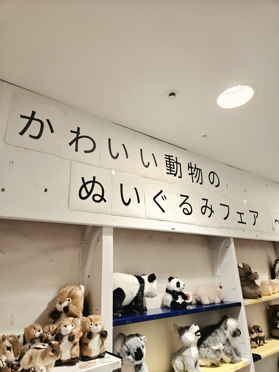 YutaImaiJP's tweet photo. 嬉しすぎるフェアやってた https://t.co/27aTHERzaQ