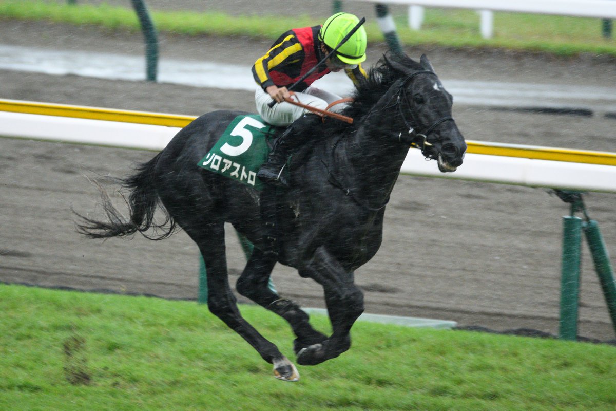 HACHET_683's tweet photo. 新潟記念の写真編集してるけど、強い雨と向かい風が相まって、すごい疾走感がある写真になってるｗ
(すごい暗かったからISOのノイズもしんどいｗ) https://t.co/TVUdfC83lz