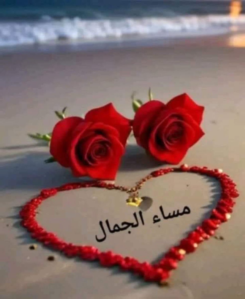 kum__88's tweet photo. الوعي هو أن تدرك كيف تفكّر، وكيف تختار ردود أفعالك، وتستشعر قيمة اللحظة التي تعيشها الآن دون غرق في الماضي أو قلق من المستقبل. أن تكون واعياً يعني أن تملك زمام حياتك برفق🌿❤️
#طابت_اوقاتكم_بالخير_ياارب🌻
#نبض_الوناسه_للدعم https://t.co/In2vlAiyFM
