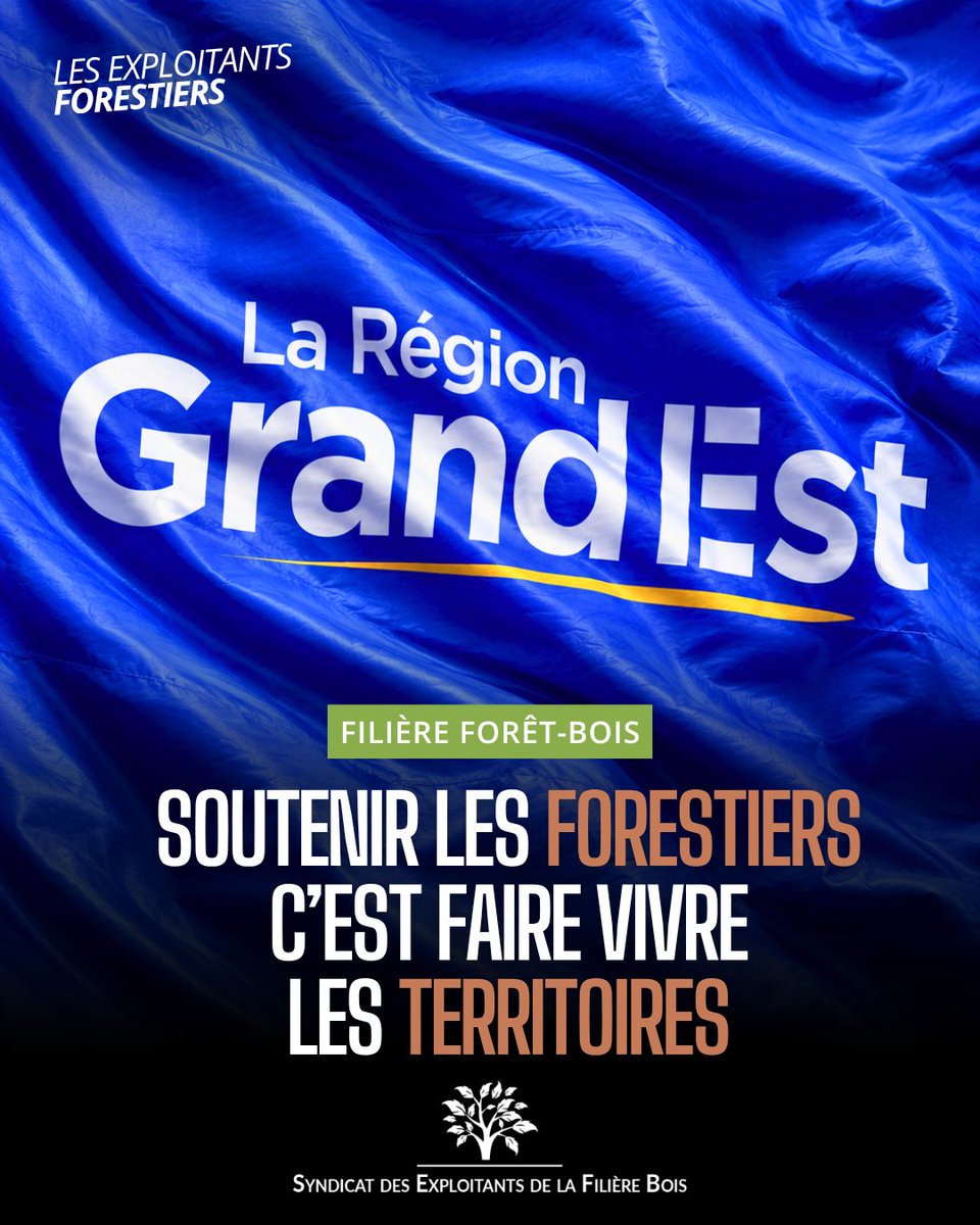 SEFBois's tweet photo. Depuis sa création, le #SEFB porte cette conviction : sans opérateurs forestiers solides, pas de filière forêt-bois forte.
@regiongrandest l’a compris. Puisse son engagement inspirer d'autres régions. @Franck_LEROY_
Rejoignez le SEFB : https://t.co/tBORIFMOUp https://t.co/xNVYBd1JWO