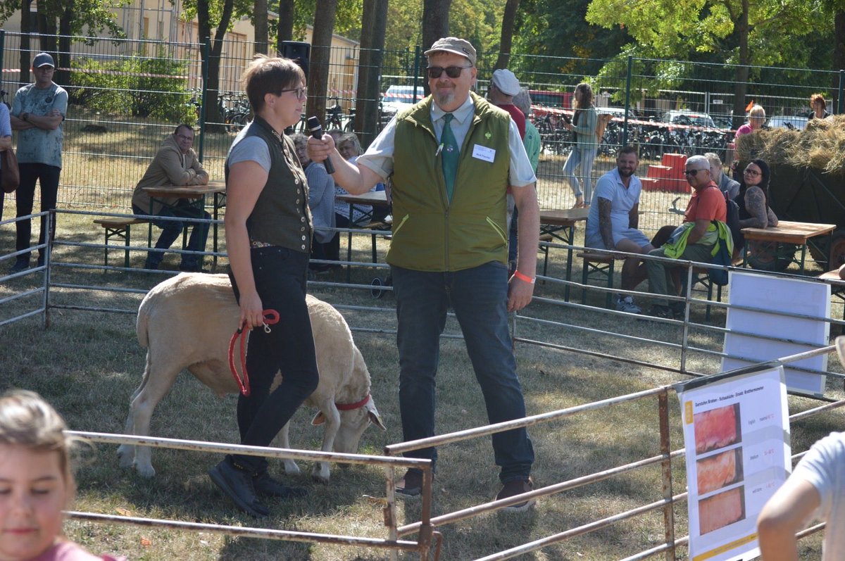 MWL_LSA's tweet photo. 30 Jahre Historisches Erntefest in Bernburg-Strenzfeld: Dampfpflüge, Bockwurst-Battle und #Landwirtschaft zum Anfassen. #LLG @HSAnhalt @DLGeV @Bauern_Verband @D_Bauernbund https://t.co/toD0yfvcqm