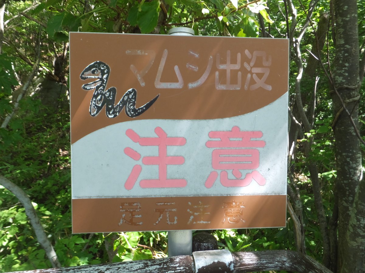chikkochan0412's tweet photo. んで、戻る途中に雄冬岬展望台寄ってみたのよ。
登って駐車場に着いたらあらら、墓地だった。
なんぼもなかったけど。
階段上ってすぐにマムシ出るって。
やべーな。
途中で足ガクガクしてきて後悔したけどせっかく
来たんだからな。
たぶんもう行くことはない。 https://t.co/1KWAcwRJBU