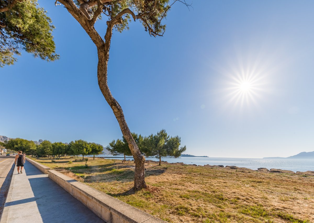 Pollenca_com's tweet photo. 🏖️Llenaire🌲
📍Port de Pollença
📸Micer Studio

@MallorcaTourism https://t.co/EKME2M1ksS