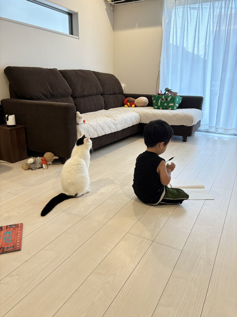 takeru0321neko's tweet photo. いつも見守ってくれてる https://t.co/LBZgXYeZVu