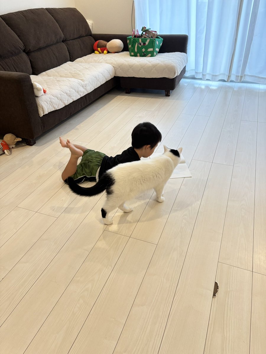takeru0321neko's tweet photo. いつも見守ってくれてる https://t.co/LBZgXYeZVu