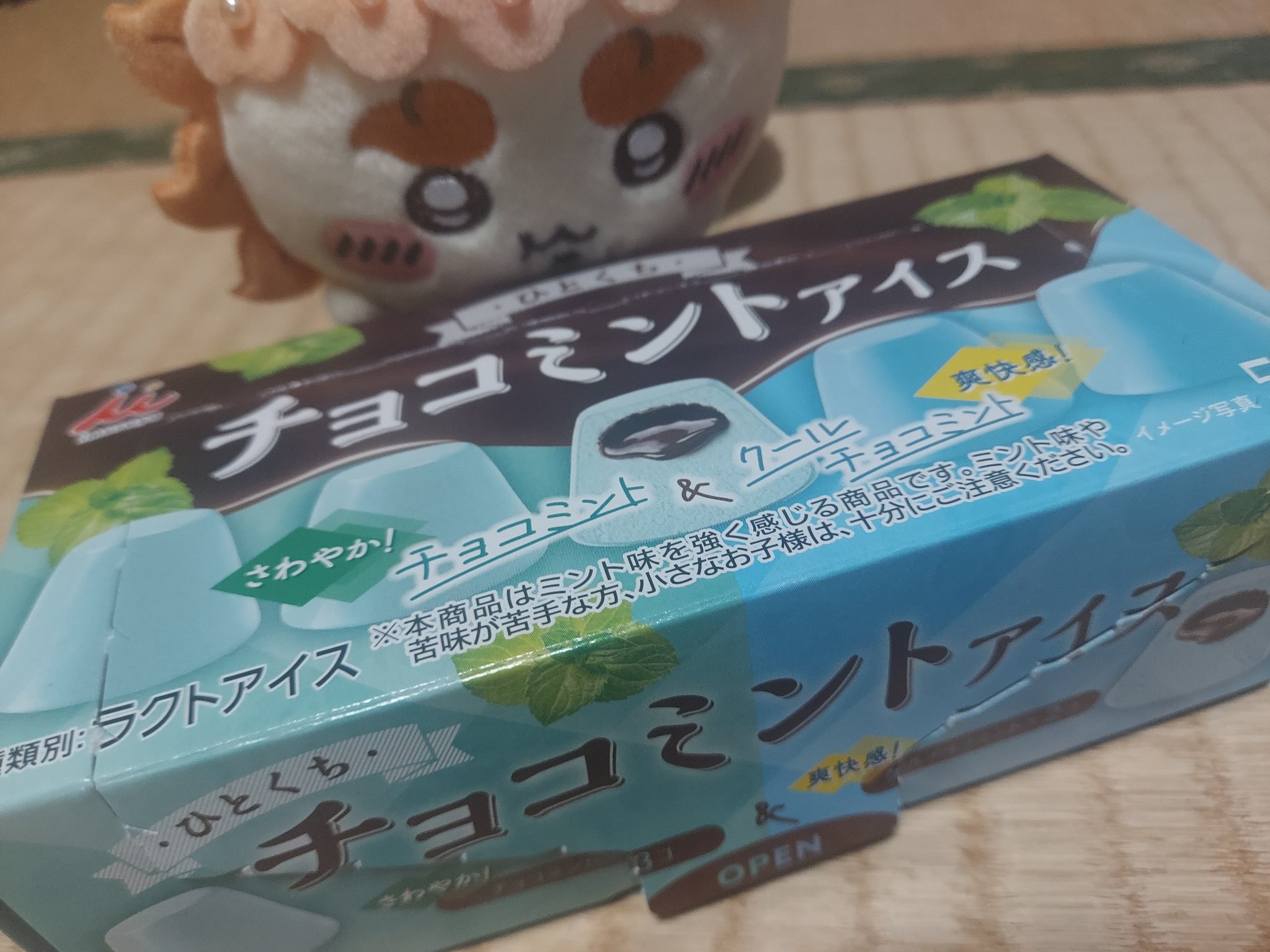 ちょこみんと チョコミント（箱）｜商品情報｜赤城乳業株式会社