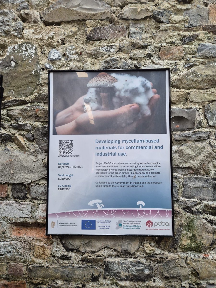 EUJTF_ie's tweet photo. EUJTF Project Spotlight

Over the next few days we're highlighting projects supported by the #EUJustTransitionFund that are helping communities, businesses and workers across #EUJTF territory build a more sustainable future.

Our first stop was Ethica Planet's #MARC project where we learned more about their innovative work using mycelium and recycled cardboard to create sustainable products. 

The project is exploring how bio-based materials can be used as alternatives to traditional products while supporting the growth of new enterprise and employment opportunities in the region.

It was fascinating to see the range of applications for these materials and to hear how the company is creating opportunities for local young people as it continues to grow.

#Innovation #CircularEconomy #Bioeconomy #LocalJobs #SustainableEnterprise 

@EMRAssembly @pobal @DeptCEE @eurireland @EU_Commission @EUinmyRegion