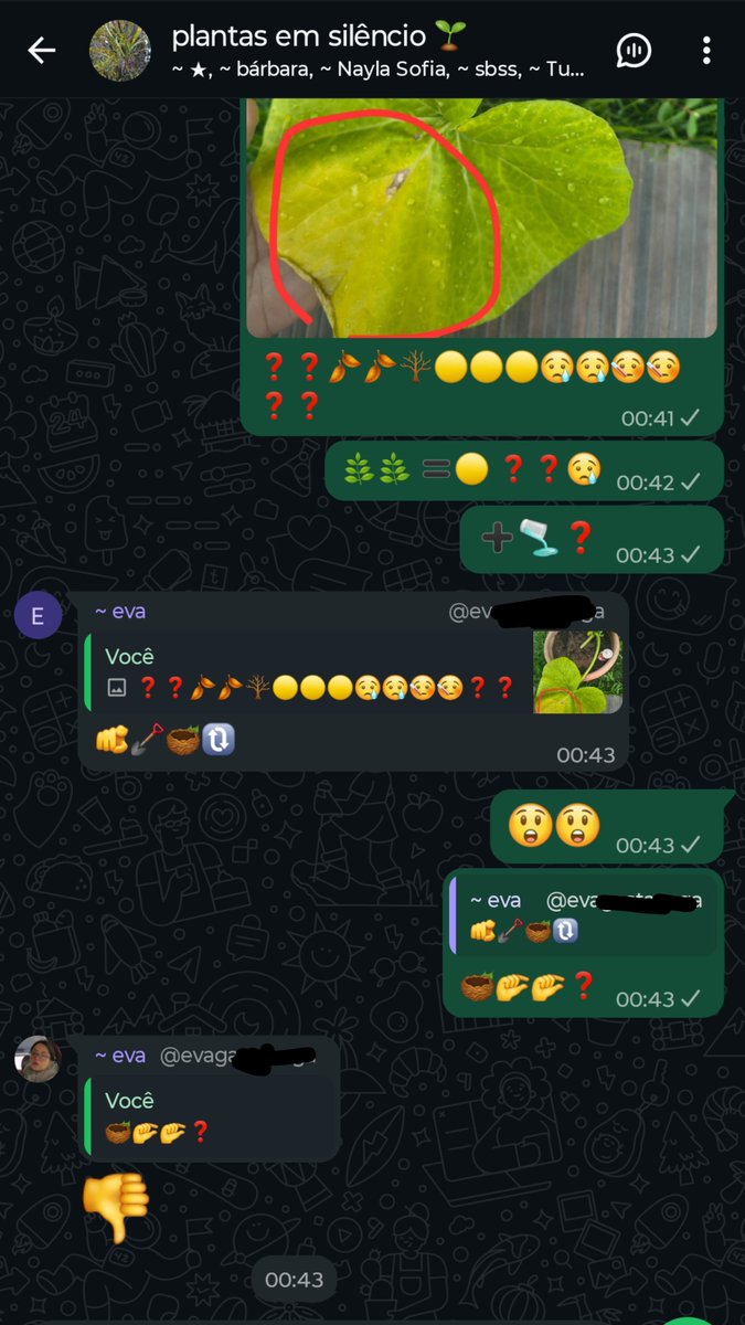 HitaloDoces's tweet photo. tentando tirar dúvidas das minhas plantas doentes em um grupo que é proibido digitar https://t.co/J42YV0FvTB