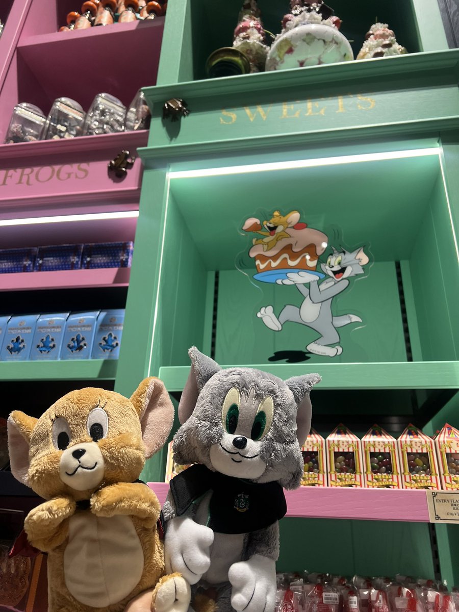 mildyamamild's tweet photo. 滑り込みでトムとジェリーとお会いしてきた‼︎
今年3回目だけど、最高に楽しかった😂🪄
スリザリン推しで、トムもスリザリンで最高！
色々感想はさておき、
今から急ピッチで投稿するので、まっててくださいね💦
100名に入りたいのです。

#スタジオツアー東京でトムジェリ発見 https://t.co/6wLmtwn9cA