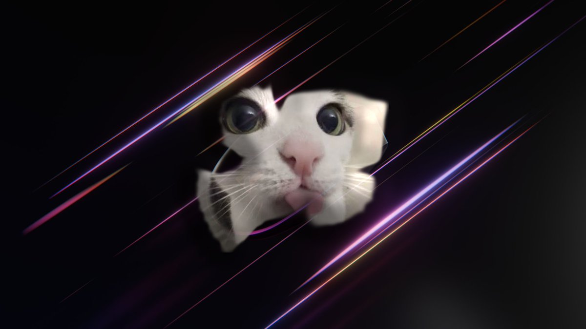 Ankit7Seth's tweet photo. Mice and cars 😼

#b3d #blender #3drender https://t.co/hSVseg1GhP