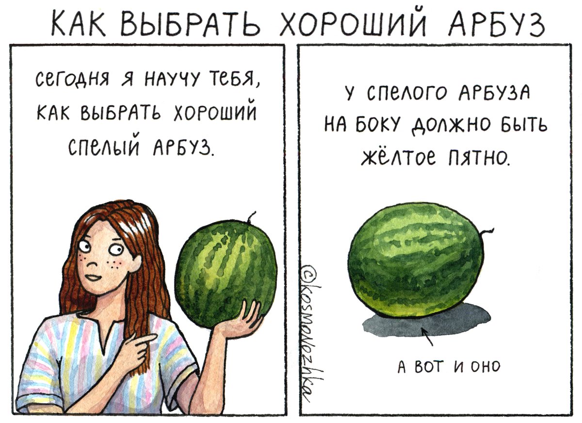 kosmonozhka's tweet photo. поскольку не все знают, как выбрать хороший арбуз, я вам нарисовала памятку. 
основные правила и техника безопасности.
#kosmonozhka
#овощгреха https://t.co/pazJSpHYJP