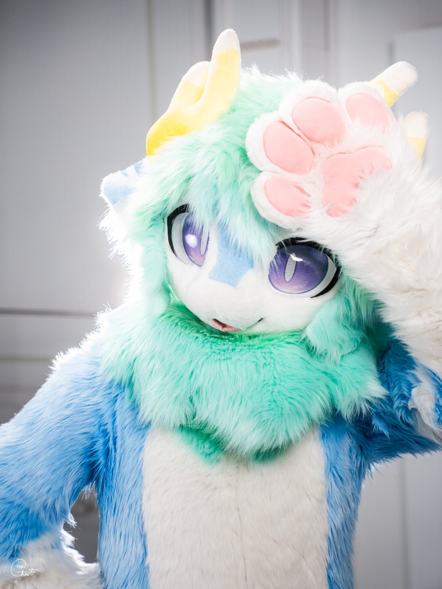 Maaru_koko's tweet photo. 눈이 부신걸 ? ✨

📸 : @nachani77 
#FursuitEverday #Fursuit #Maru https://t.co/Ga2cbp94qO