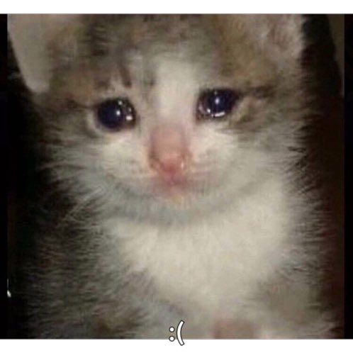 JoshHammondPorn's tweet photo. okay srs question um how do u post seshes now? :( my account gets locked every time no mttr what i do :( oomfies plz 💔💔💔 

#shedrtwt #owchietwt #slittwt 🏚️ https://t.co/vxyAwHuaWv