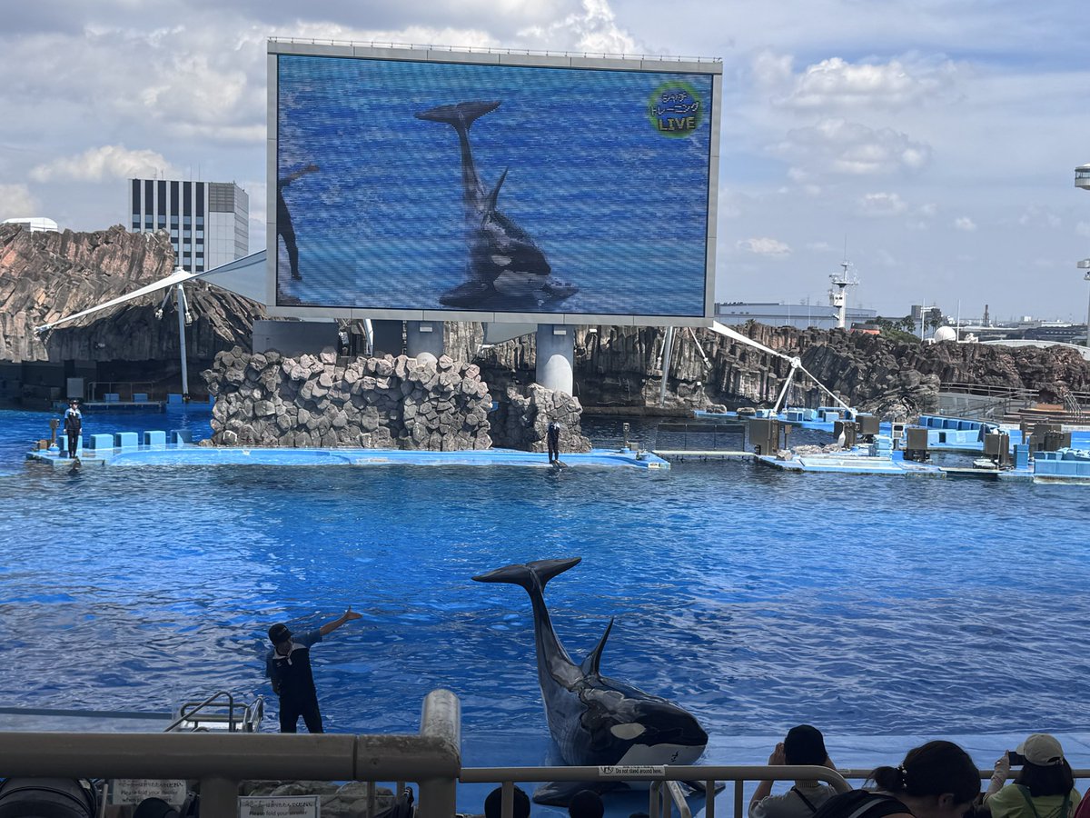 shachi_0610's tweet photo. 一泊二日の名古屋旅行行ってきた〜〜〜！！
お土産いっぱい買ってもらっちゃいました🙏美味しくいただきます！！！ありがとう〜！！ https://t.co/Uj4Yo6RzAa