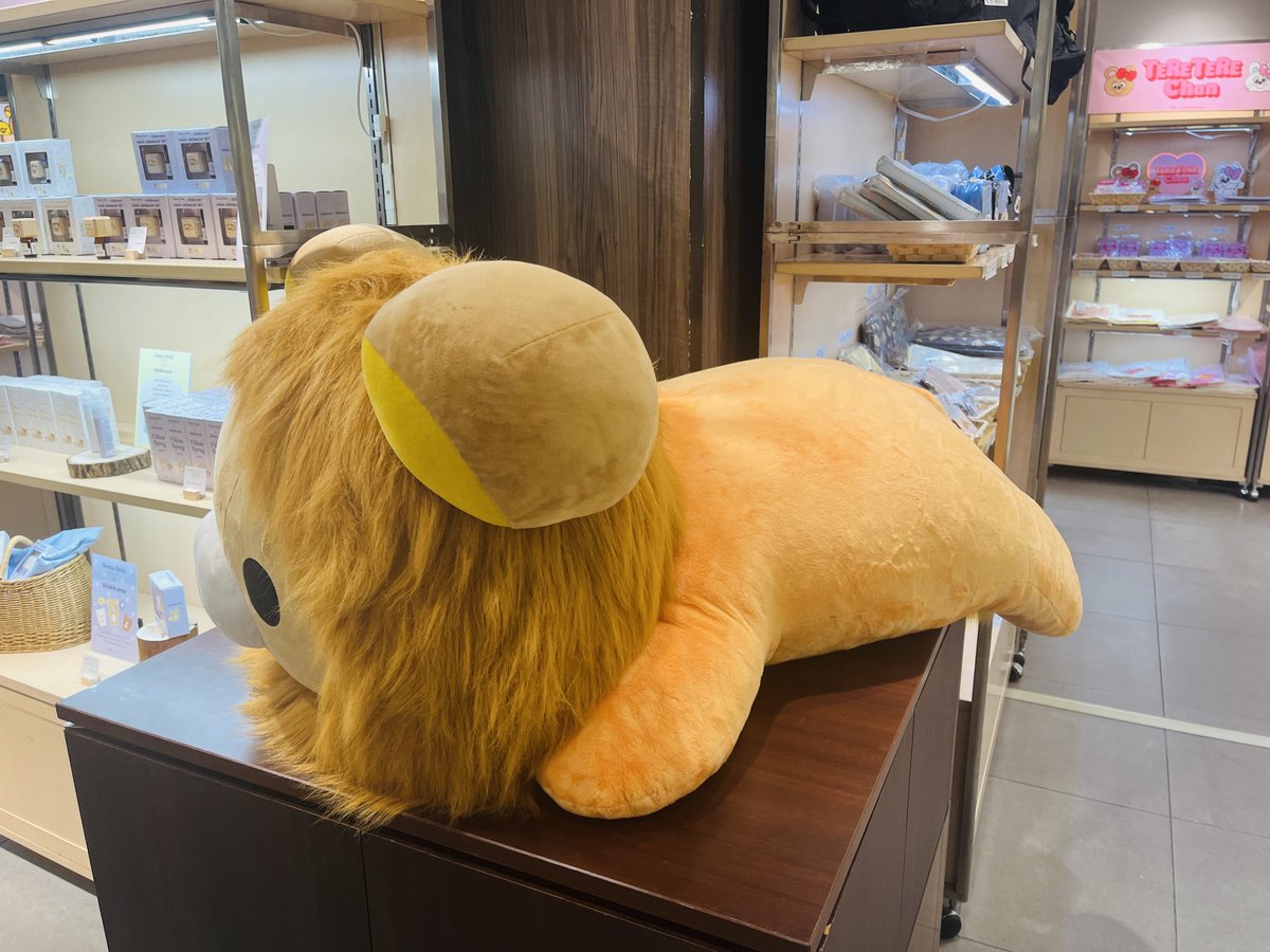 itsuka_xx's tweet photo. くまフェス！コリライオンかわゆ〜🦁
大きなリライオンもいた🦁🦁 https://t.co/8b5zUAA4Q5
