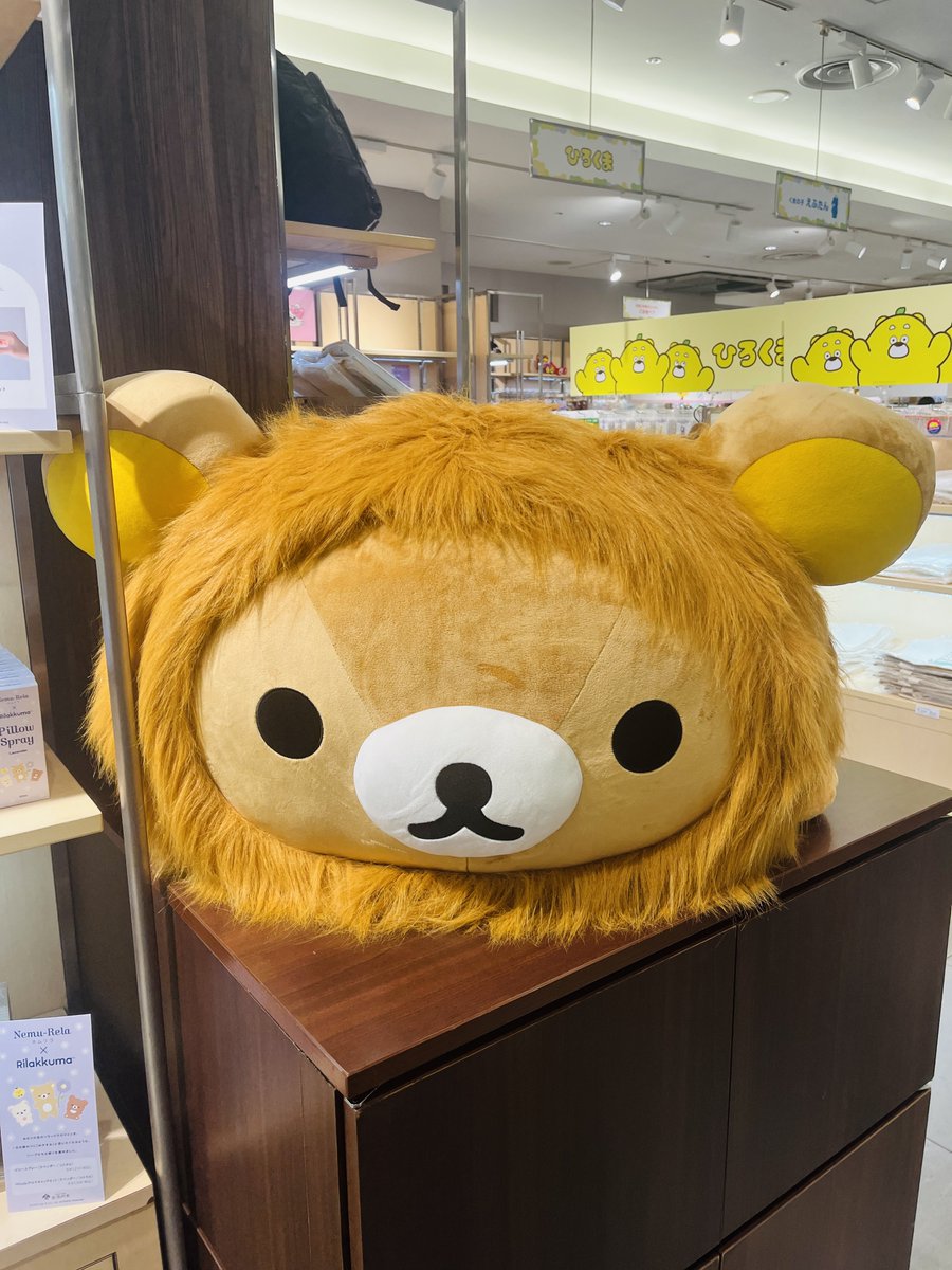 itsuka_xx's tweet photo. くまフェス！コリライオンかわゆ〜🦁
大きなリライオンもいた🦁🦁 https://t.co/8b5zUAA4Q5