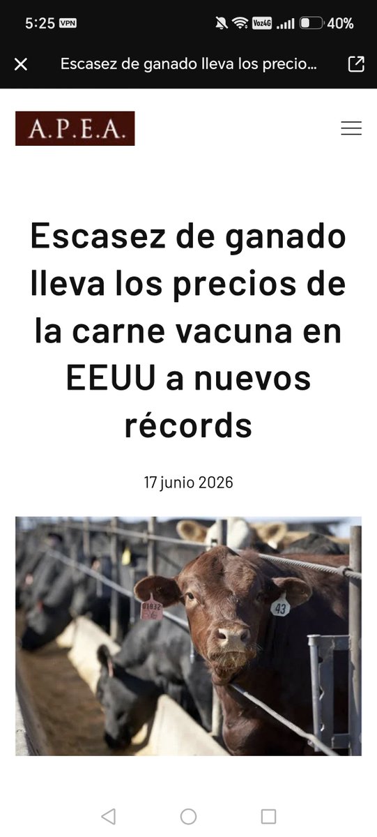 MadameSiimone's tweet photo. Qué carne nos van a importar si están atravesando tremenda crisis de escasez, el más bajo en 75 años. El USDA estima que el stock de bovinos en EE.UU. para 2026 será de 86,7 millones de cabezas, muy por debajo de los niveles históricos.

Bueno, digamos que tienen el ganado pero como Trump cortó presupuestos para el monitoreo de enfermedades... Pues ahora están con:

1. El gusano barrenador del Nuevo Mundo (NWS), una larva que devora el tejido vivo de los animales, reapareció en EE.UU. en junio de 2026 por primera vez en más de 60 años.

Además, ha provocado restricciones de movimiento de ganado por parte de Canadá y la suspensión de importaciones desde México.

También tienen un problema con la Influenza Aviar (H5N1) en Ganado

PA rematar lo del gusano barrenador, el H5N1 (gripe aviar) ha afectado a rebaños lecheros. En lo que va de 2026, se han confirmado 85 hatos con infecciones.

Entonces... ¿Qué carne nos van a importar?

Y como pa dejar en el Tintero... Qué sentirán los ganaderos que votaron por él ahora que va a invadir por 90 dias el mercado de carne de quién sabe qué... Porque vacas, no les quedan muchas.