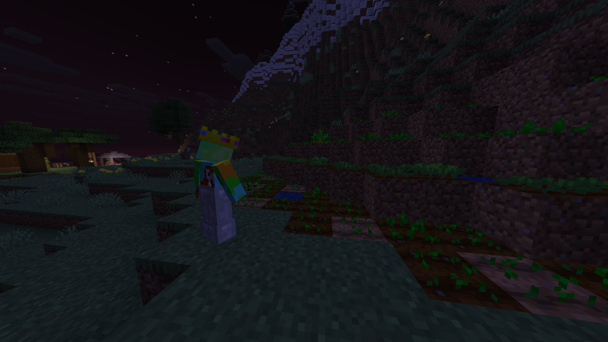 orvswirl's tweet photo. fixing the famine at spawn on #CitadelSMP https://t.co/evrS0xzNvr