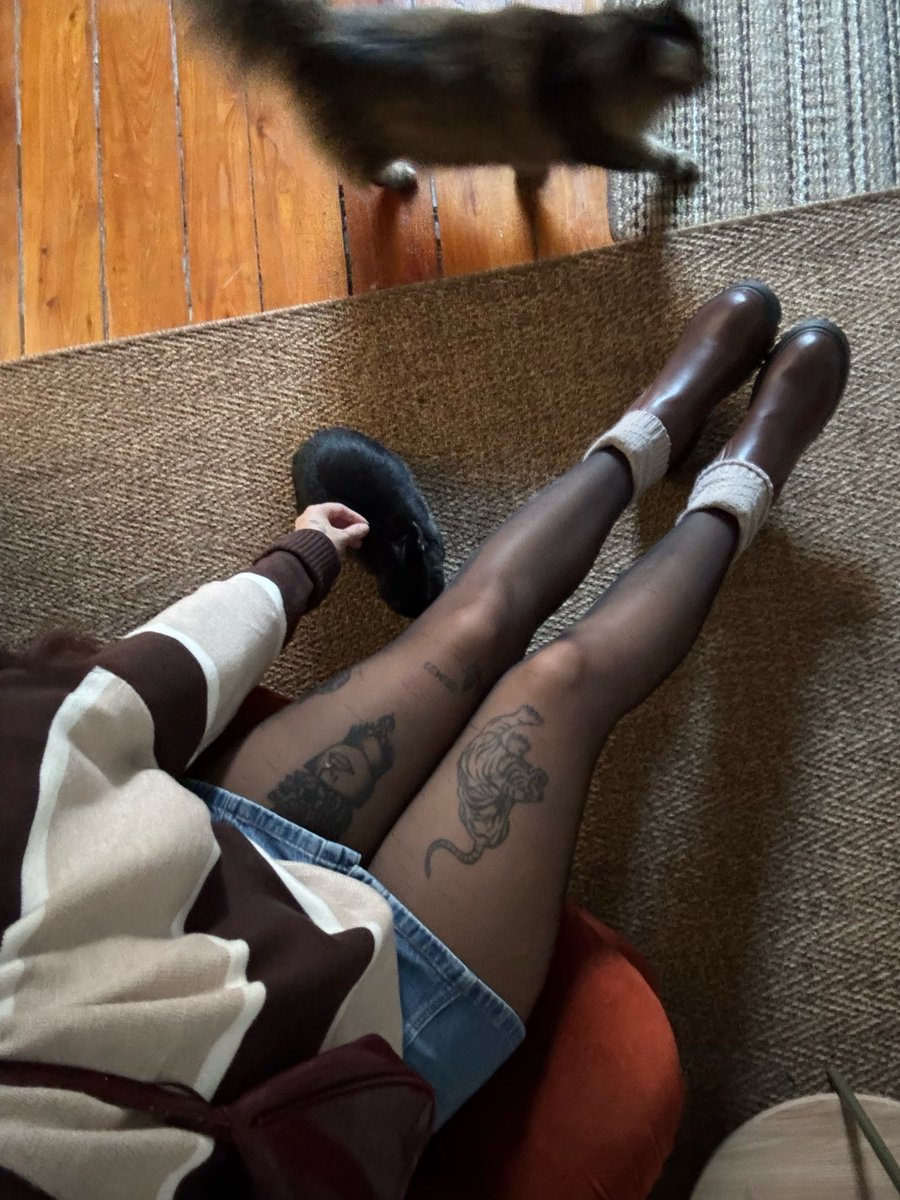 JadeCatOfficial's tweet photo. Rate my outfit/10 https://t.co/PhaaTtDlzu