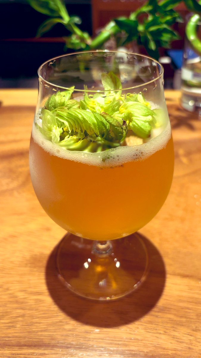 mikkeller_cat's tweet photo. なんとしても美味しいビール飲みたくて都電で移動して大塚のAid STATiONへ。

サノバスミスの農園のフレッシュホップをIPAとサイダーに浮かべるという至福の香り体験。

Mikkeller " Forest Friends" / West Coast IPA 6% 
Son of the Smith "The Source a.k.a. The Source Cider" / Hopped Cider 7.0% https://t.co/5t0uxGCFbn
