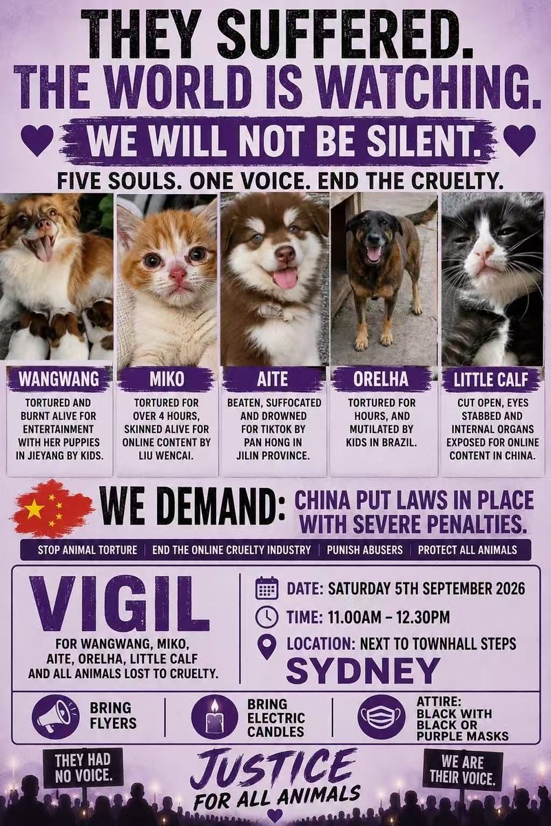 Voice4Wangwang's tweet photo. #Sydney: Two days. Two gatherings. One call for justice. 💜

Friday, 4th Sep | 10 AM–12 PM
📍 Chinese Consulate-General, Camperdown
 Peaceful protest for Wangwang and her puppies

Saturday, 5th Sep | 11 AM–12:30 PM
📍 Next to Sydney Town Hall Steps
 Vigil for Wangwang and all animals lost to cruelty

We keep speaking up for Wangwang. We keep calling for change. And we keep standing for every innocent animal who still needs us.

Come stand with us. 💜

#JusticeForWangwang
#JusticeForWangWangAndHerPuppies
#AnimalCruelty
#AnimalWelfare
#EndAnimalCruelty
#ProtectAnimals