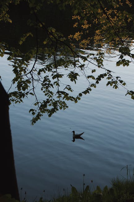 MerylMoscokt's tweet photo. أستطع مقال جذاب لم طلب أفضل حول هذا الموضوع. أسلوب الكتابة وسهل المتابعة. christel vopava https://t.co/kSEsGu8jqX