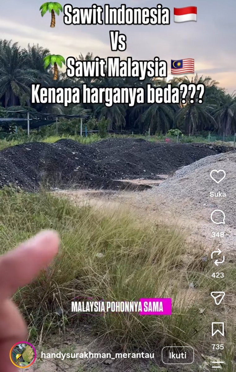txtpersahaman's tweet photo. mas ini jelasin alasan kenapa harga sawit indonesia kalah mahal dibanding malaysia padahal pohonnya sama:
> malaysia punya lembaga khusus MPOB (Malaysian Palm Oil Board) yang fokus R&D bibit unggul sesuai jenis tanah, plus ngontrol ketat kualitas dari benih sampai panen
> indonesia padahal menguasai hampir 60% produksi minyak sawit dunia (46,7 juta metrik ton), tapi masalah dari hulu ke hilir masih berantakan
> sebagian petani kita masih hobi tanam jenis Dura yang cangkangnya tebal dan miskin minyak, bahkan ada oknum yang nekat nyampur brondolan pakai tanah demi mengejar berat timbangan instan
> pas ditegur pabrik, prinsipnya malah "kita jual berat timbangan bukan jual kandungan minyak", beda sama malaysia yang sistemnya dijaga jujur dan terstandar
> hasilnya harga sawit indonesia susah bersaing di pasar global dan dihargai lebih murah, padahal tanah dan potensinya jauh lebih besar
> ternyata bedanya bukan di kualitas tanah atau pohonnya, tapi di kejujuran rantai proses dan ketegasan pengawasannya