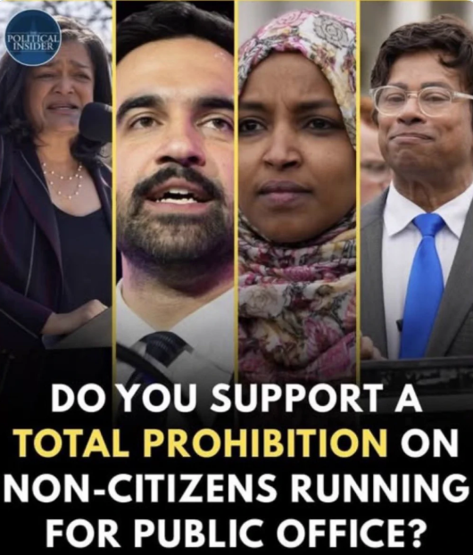 _Fischer_Brent's tweet photo. Do you support a total prohibition on non-citizens running for public office? https://t.co/Hy68pKIGBh