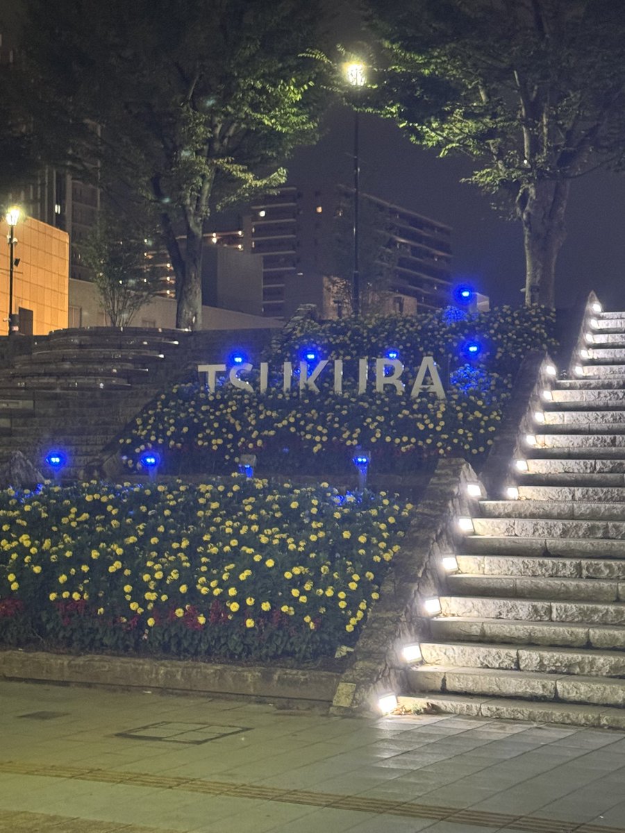 MiserableWave3's tweet photo. つくばにいない期間は真壁の家系週間と完璧に重なった https://t.co/BoR2Aap5bQ