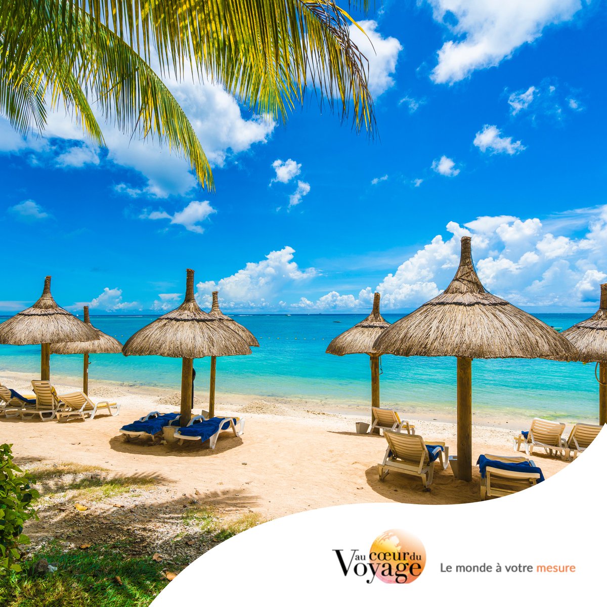 Anhy_Rodriguez's tweet photo. Sable blanc, lagons turquoise et douceur de vivre : chaque plage de l’île Maurice a son ambiance. Trou aux Biches, Belle Mare, Le Morne, Flic-en-Flac ou Blue Bay : choisissez la région idéale pour votre séjour sur mesure. https://t.co/FLE04pvxiw